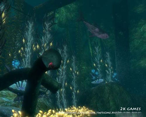 怎样生化奇兵2深海萝莉探寻之旅