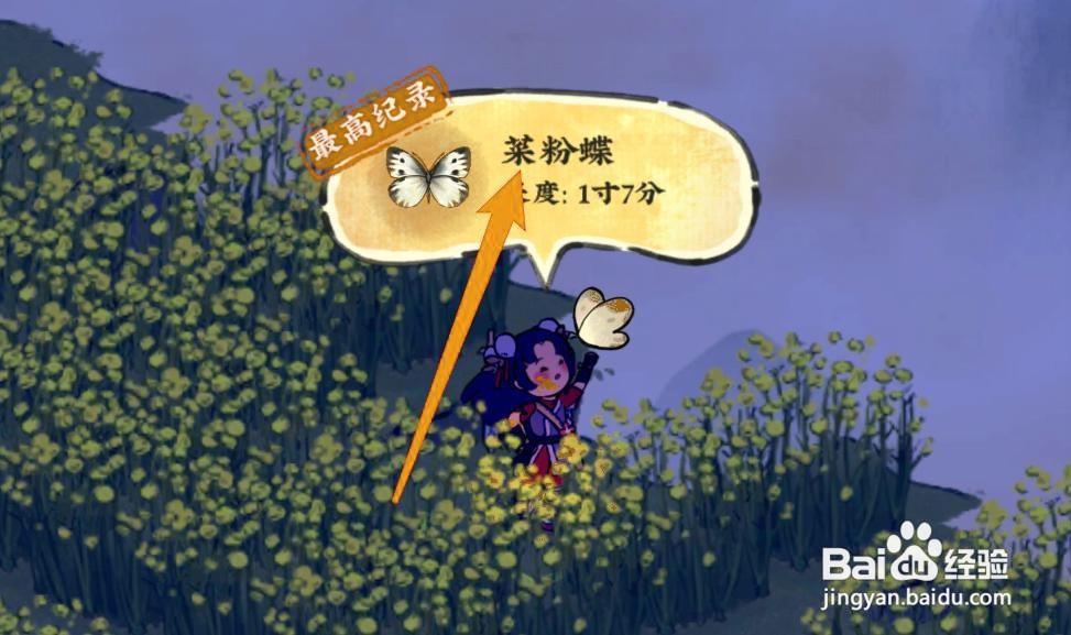 仙山小农菜粉蝶怎么抓