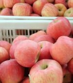 夏季吃什么水果最健康