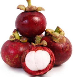 山竹应该怎么选择