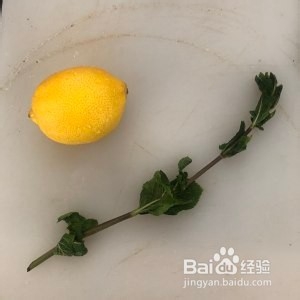 玫瑰薄荷苏打水