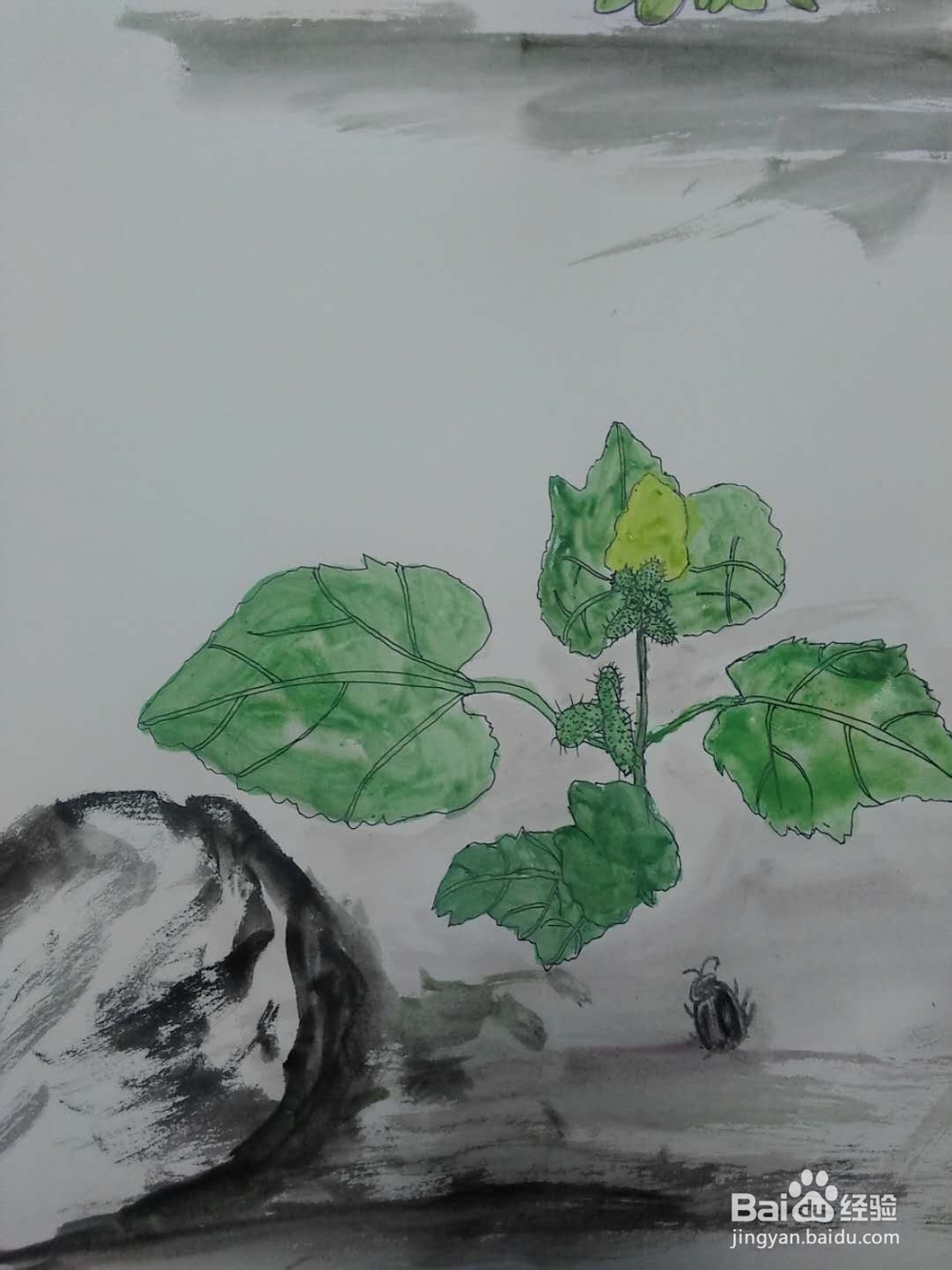 呆耳的水彩画法