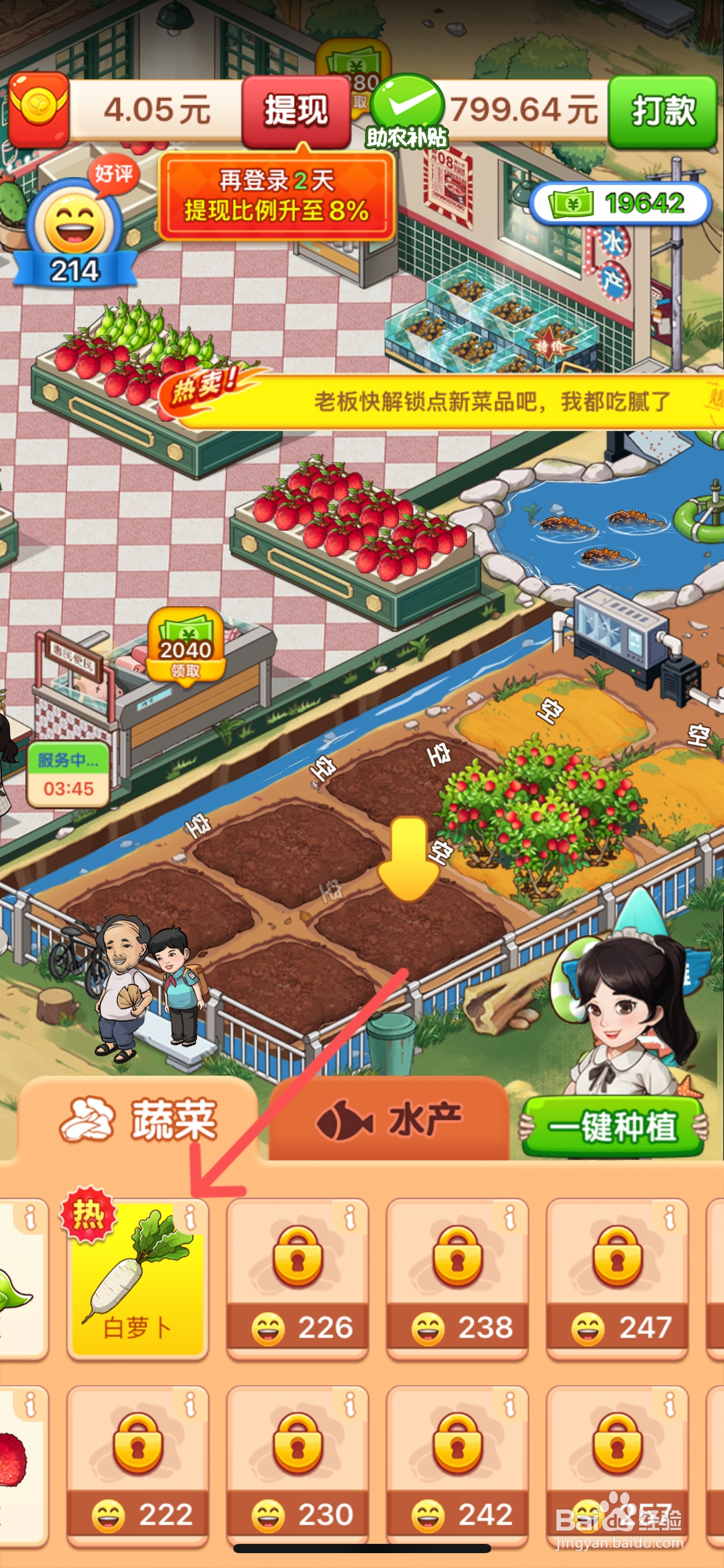 向往的小农院怎么在土地上种植白萝卜