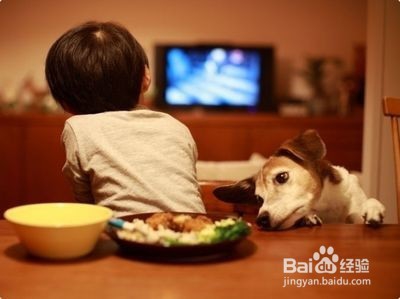 孩子喜欢长时间看电视怎么办?