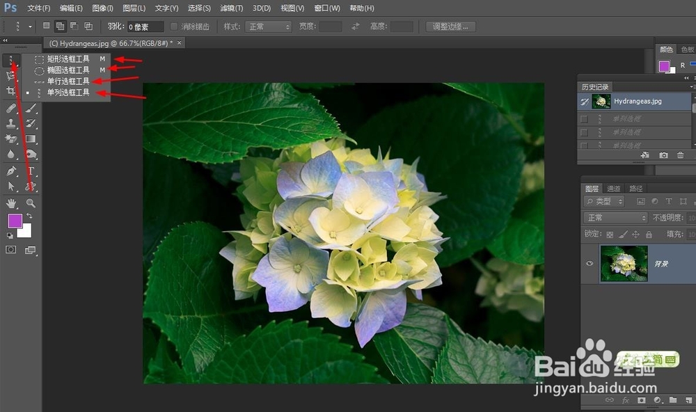 PS‘矩形选框工具’和‘编辑->填充操作’