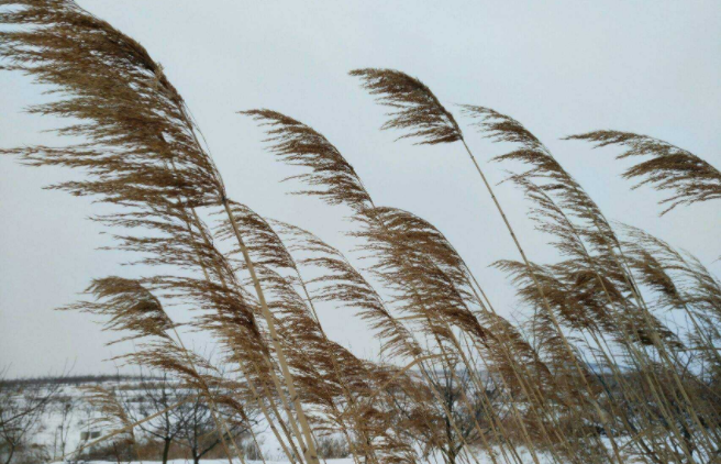 万里北风是什么意思