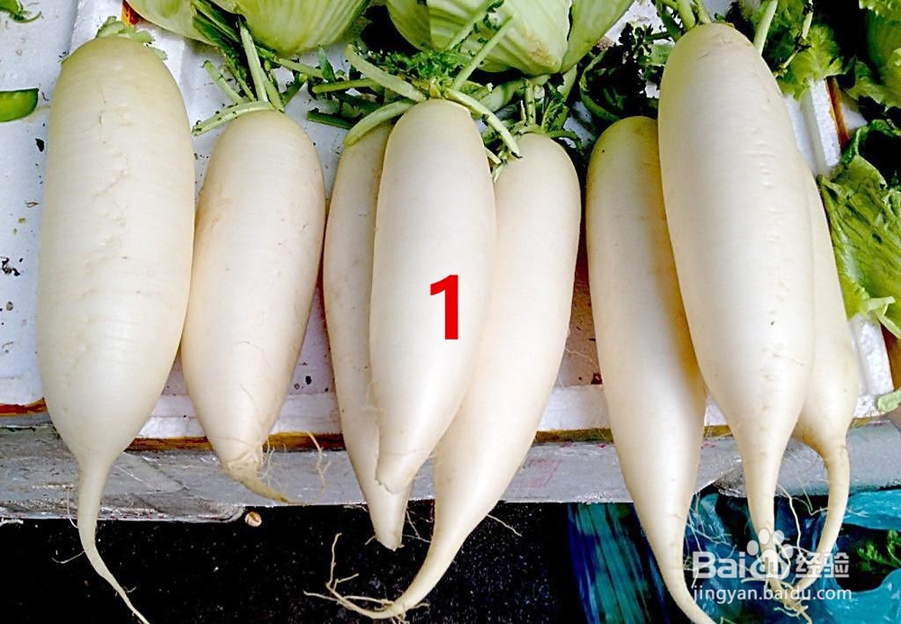 鼻塞鼻炎如何防治