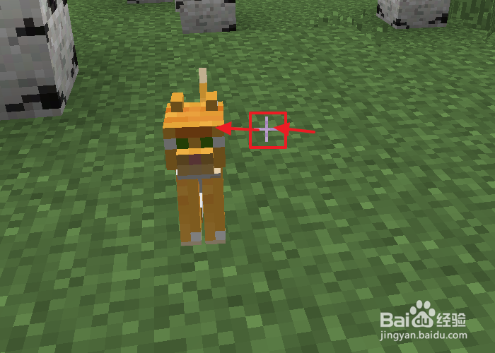 我的世界猫吃什么