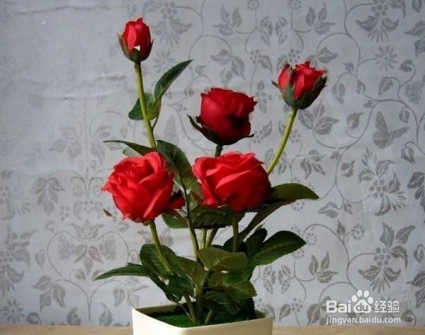 玫瑰花蔫了怎么补救