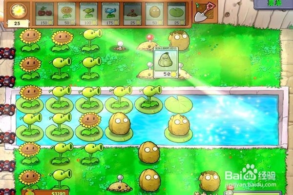 植物大战僵尸通全关的攻略。（3~1关）