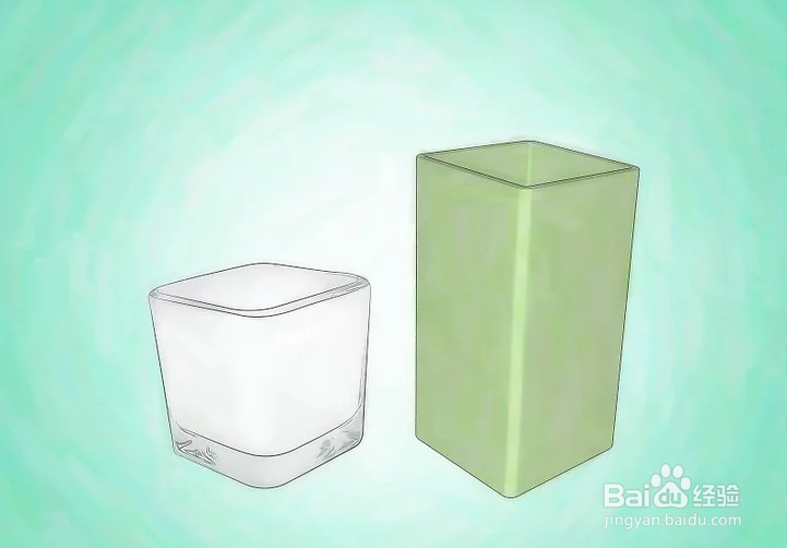 如何种植幸运竹