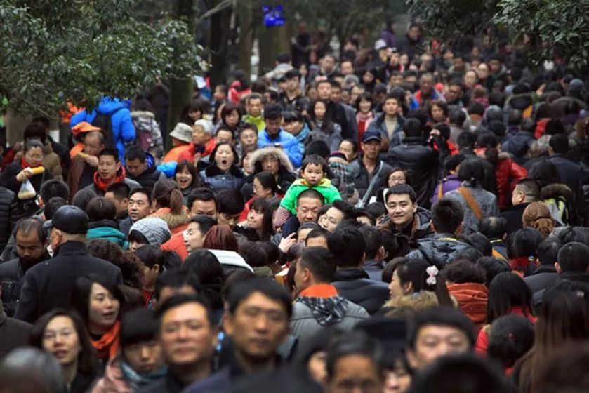 海塘大堤上早已人山人海用了什么修辞手法