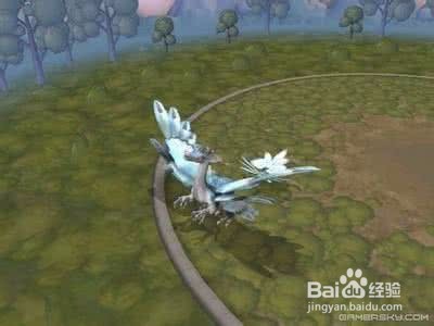 孢子银河大冒险怎么玩