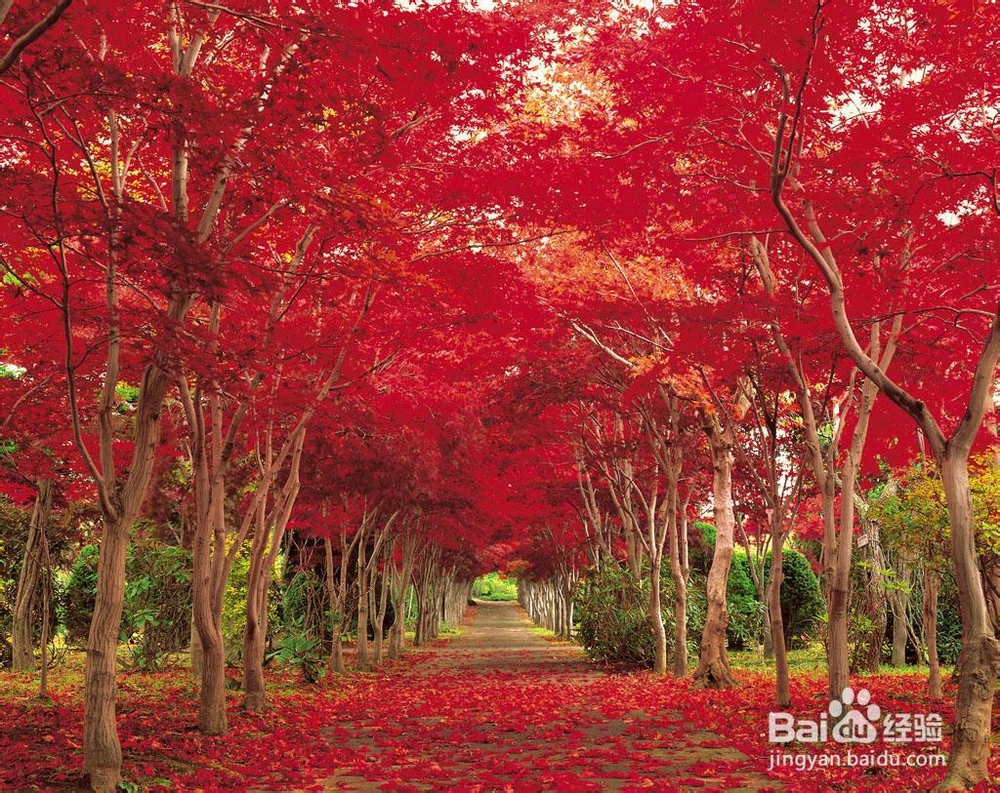 怎样调整自己的心态