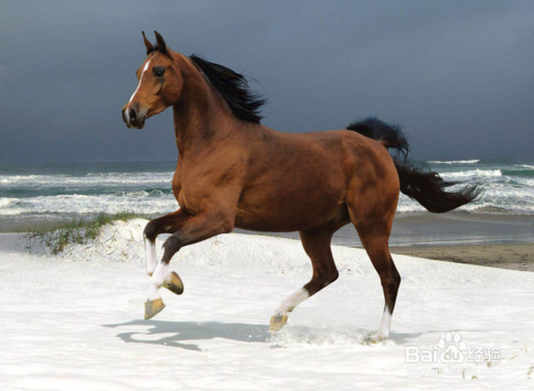 photoshop入门基础教程 知识点概述