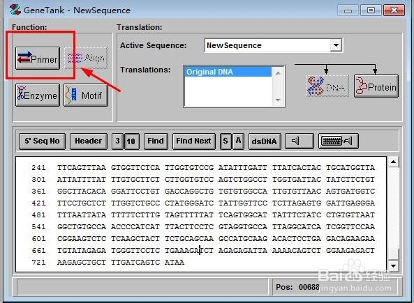 如何用primer5设计PCR引物并转化成pdf格式