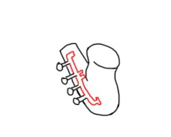 萨克斯风怎么画简笔画