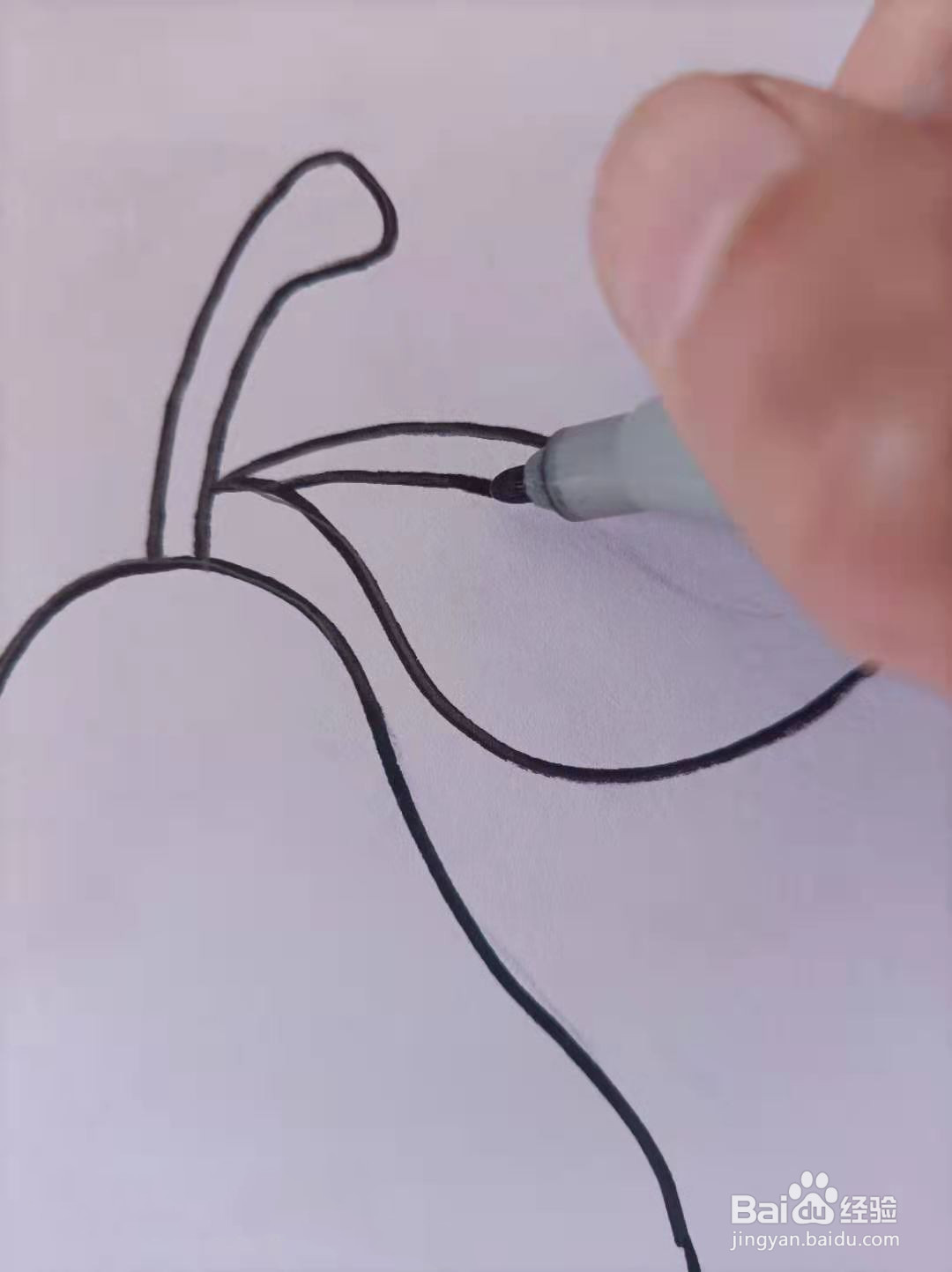 梨子的简笔画可以怎么画?