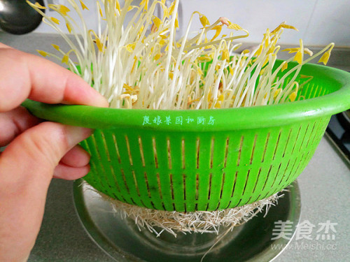 自发绿豆芽的做法