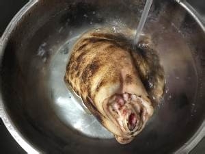 对新手也友好的正宗红烧猪肘