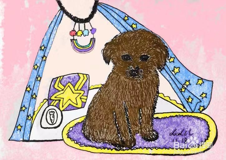 茉莉蜡笔手绘之小泰迪犬