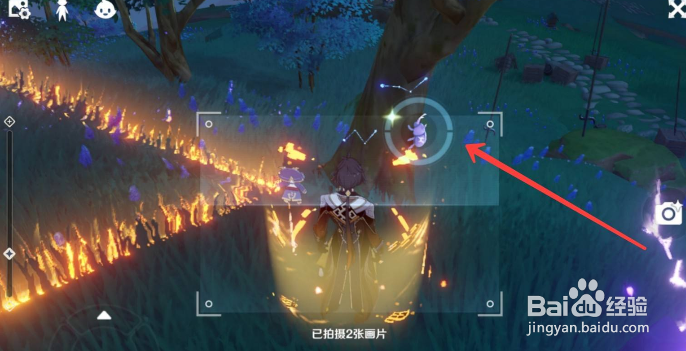 原神堇庭华彩活动技巧