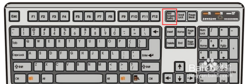 常见电脑截屏方法