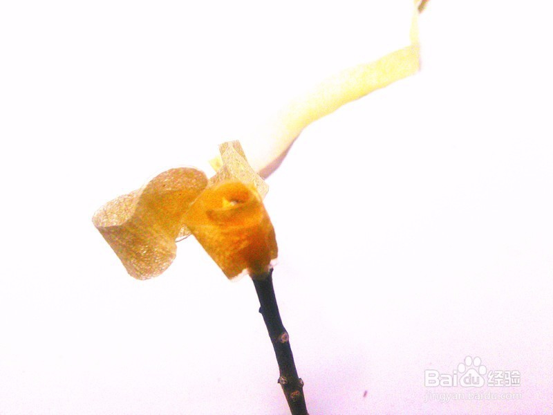 皱纹纸拼接玫瑰的图解(简单易学版)