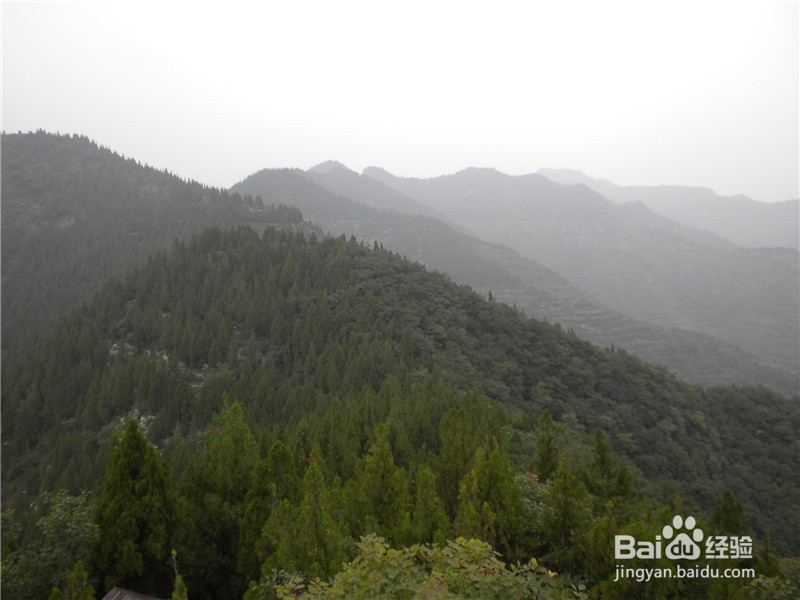 山东到哪儿去爬山？（一）