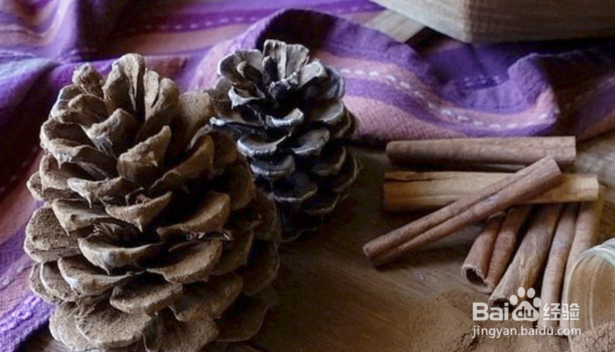 如何制作肉桂香味松果？