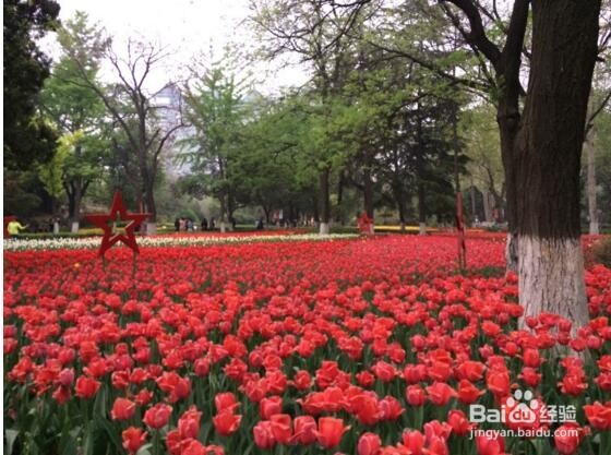 盘点西安不用花钱的景点