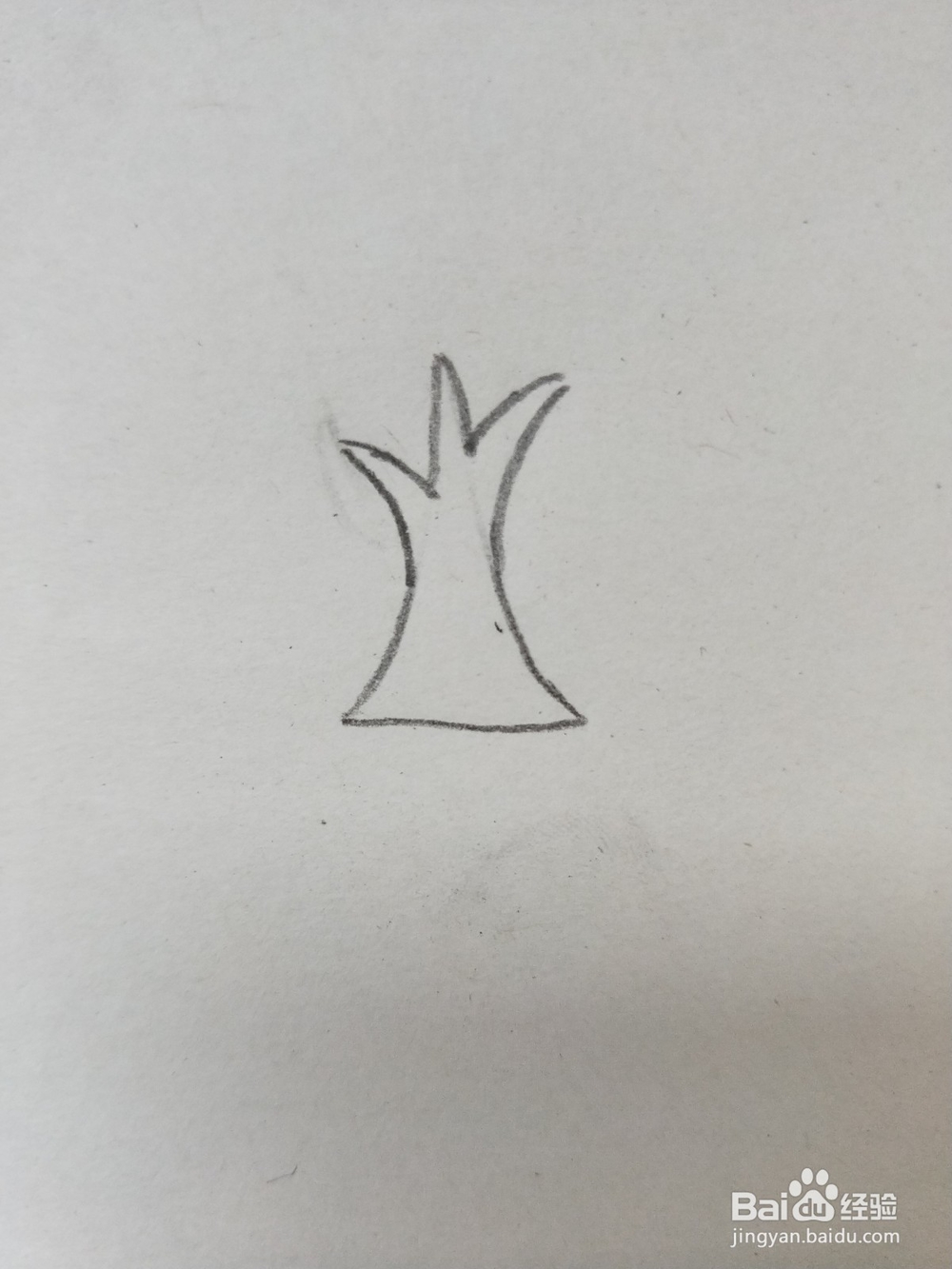 苹果树的简笔画教程