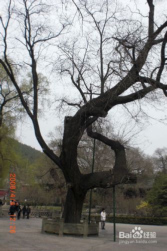 太原晋祠公园 l 旅游攻略