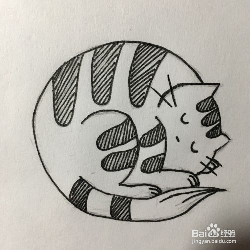 如何画一只在睡觉的胖斑纹猫？