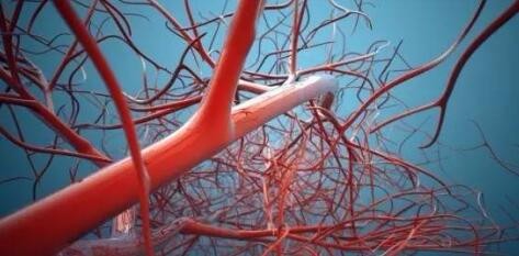 脱发怎么办?几个经验让头发浓密