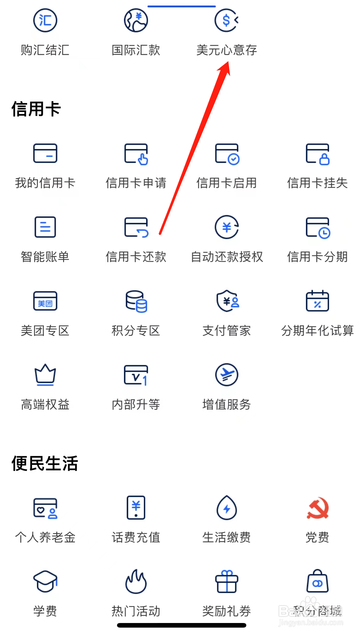 上海银行如何查看美元心意存