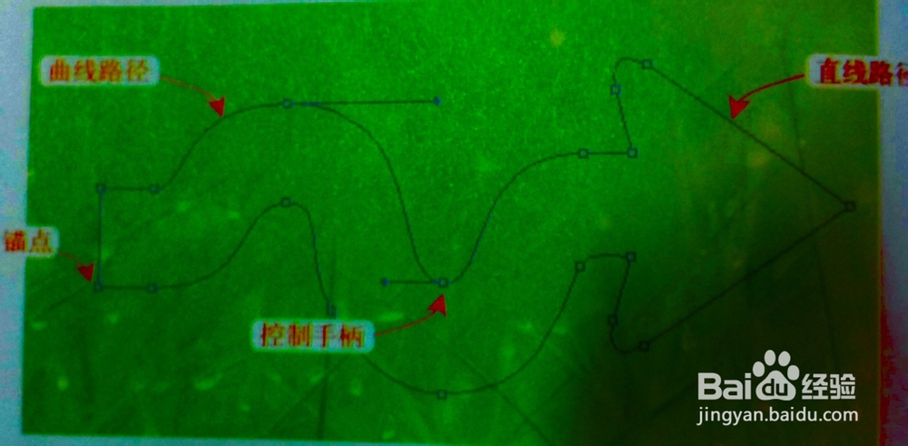 顺子教你ps之绘制路径