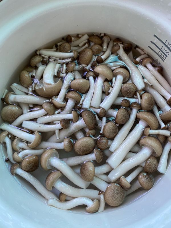 佛手瓜炒蟹味菇