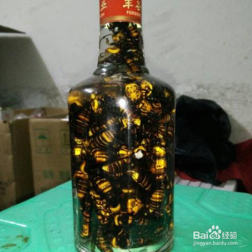 马蜂酒怎么泡制