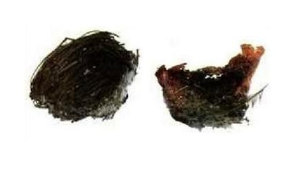 燕窝的市场价格 好的燕窝多少钱一克