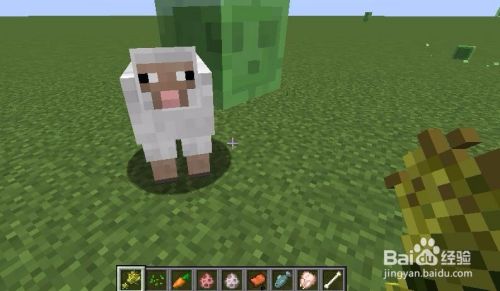 Minecraft中如何驯服饲养各类动物 百度经验