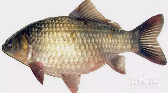 冬季盲目喝汤的危害