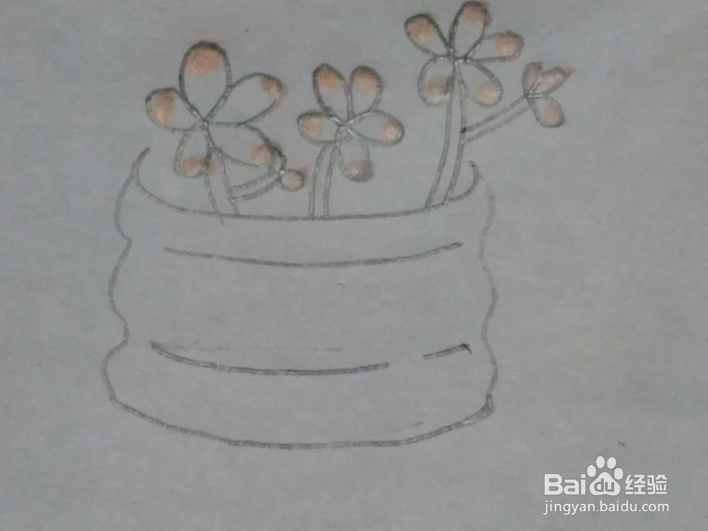 多肉 简笔画 绘画教程2