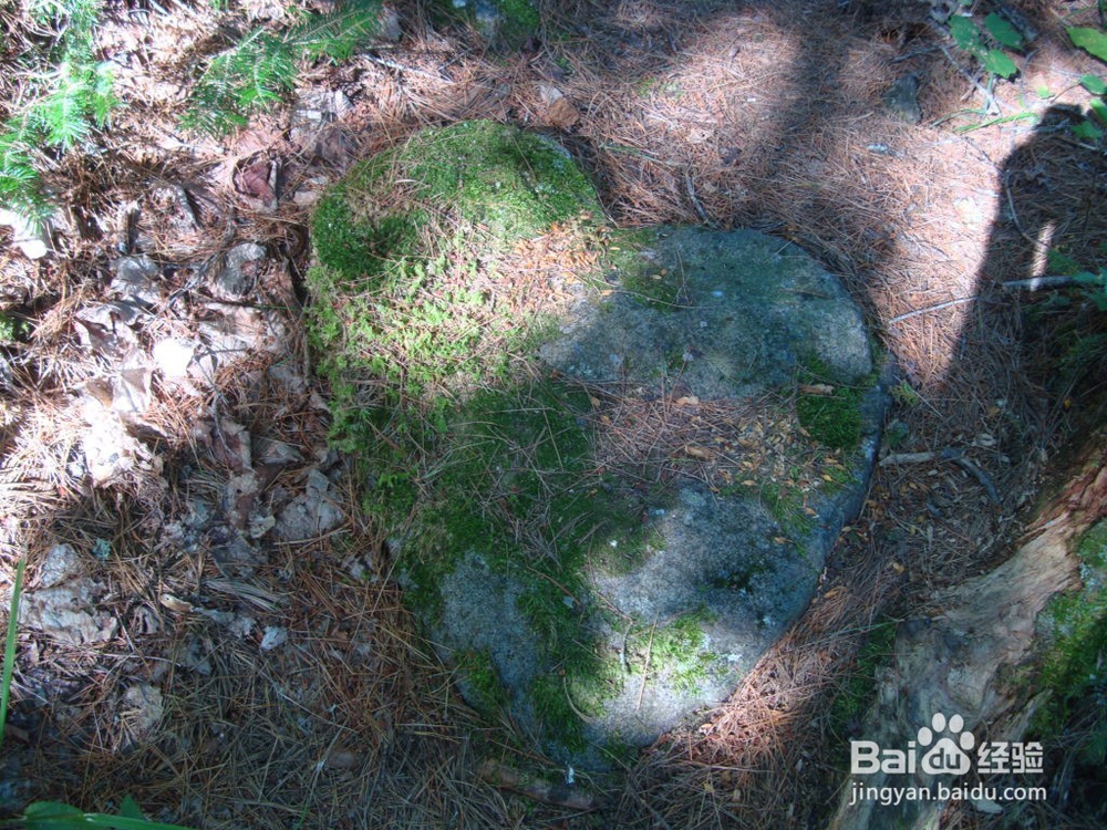 徒步爱好者的旅游圣地之一苏必利尔步道