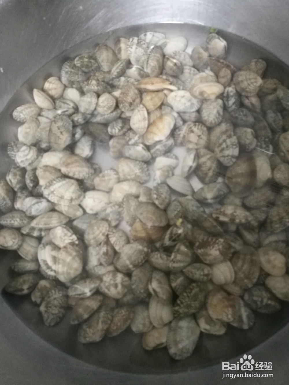 怎样做好吃美味的花蛤