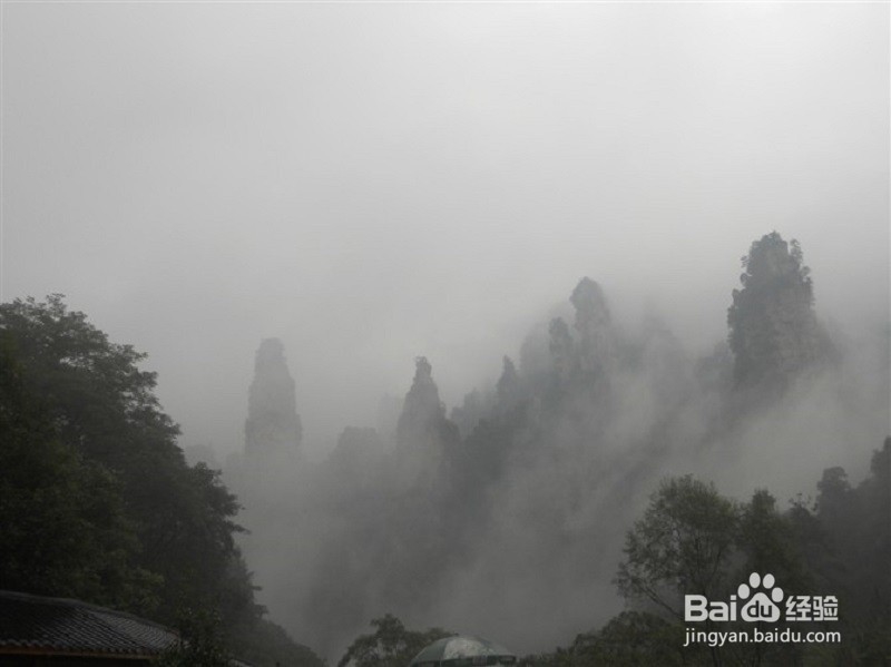 辣妹子辣,辣妹子美----我的旅游经验之湖南篇