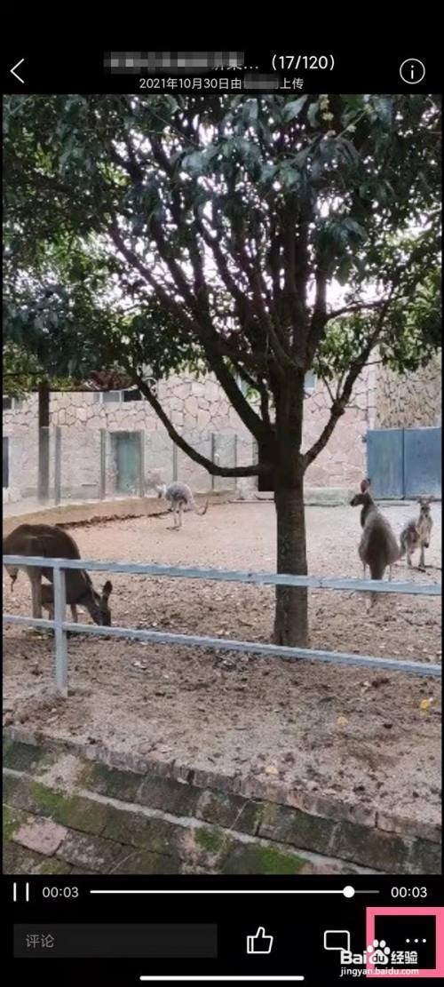 qq相册视频如何保存至手机