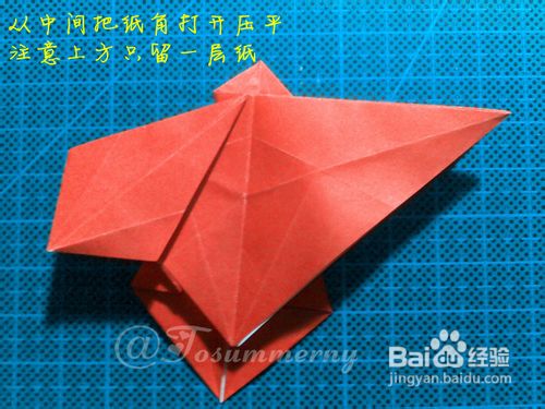 【天の折馆】枫叶折纸实拍教程（上篇）