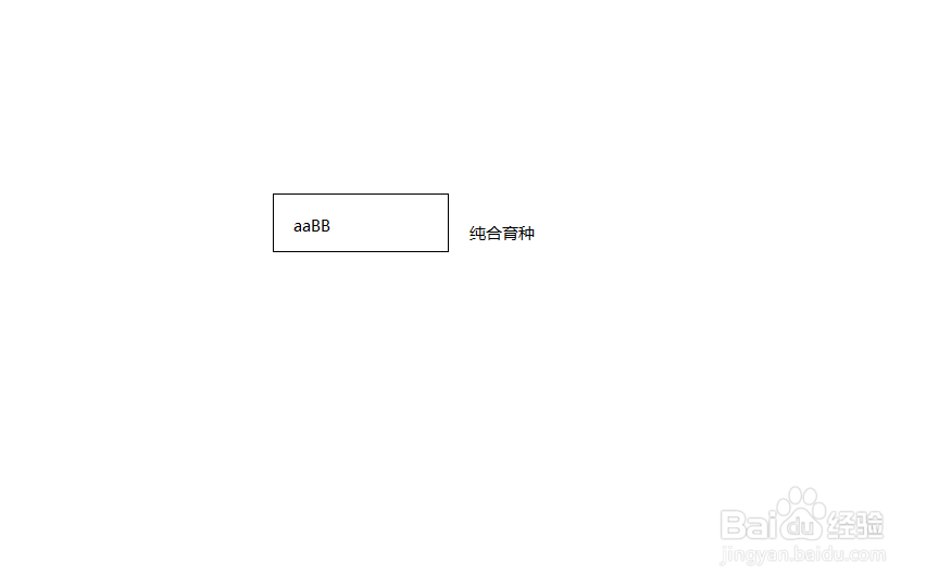 杂交育种的步骤