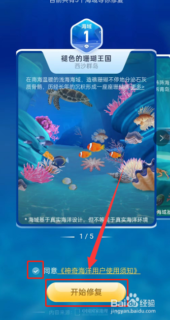 支付宝神奇海洋怎么玩